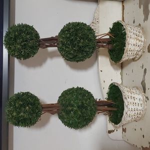 Topiaries